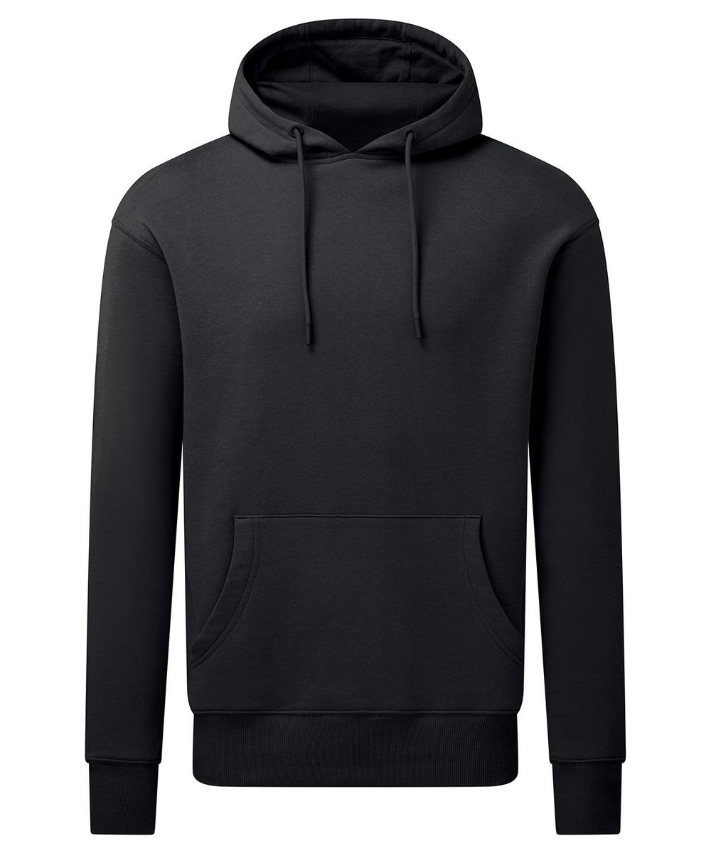 Anthem unisex hoodie - Anthem