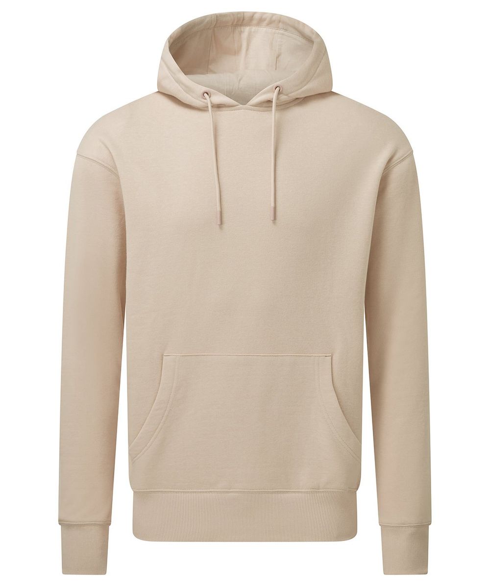 Anthem unisex hoodie - Anthem