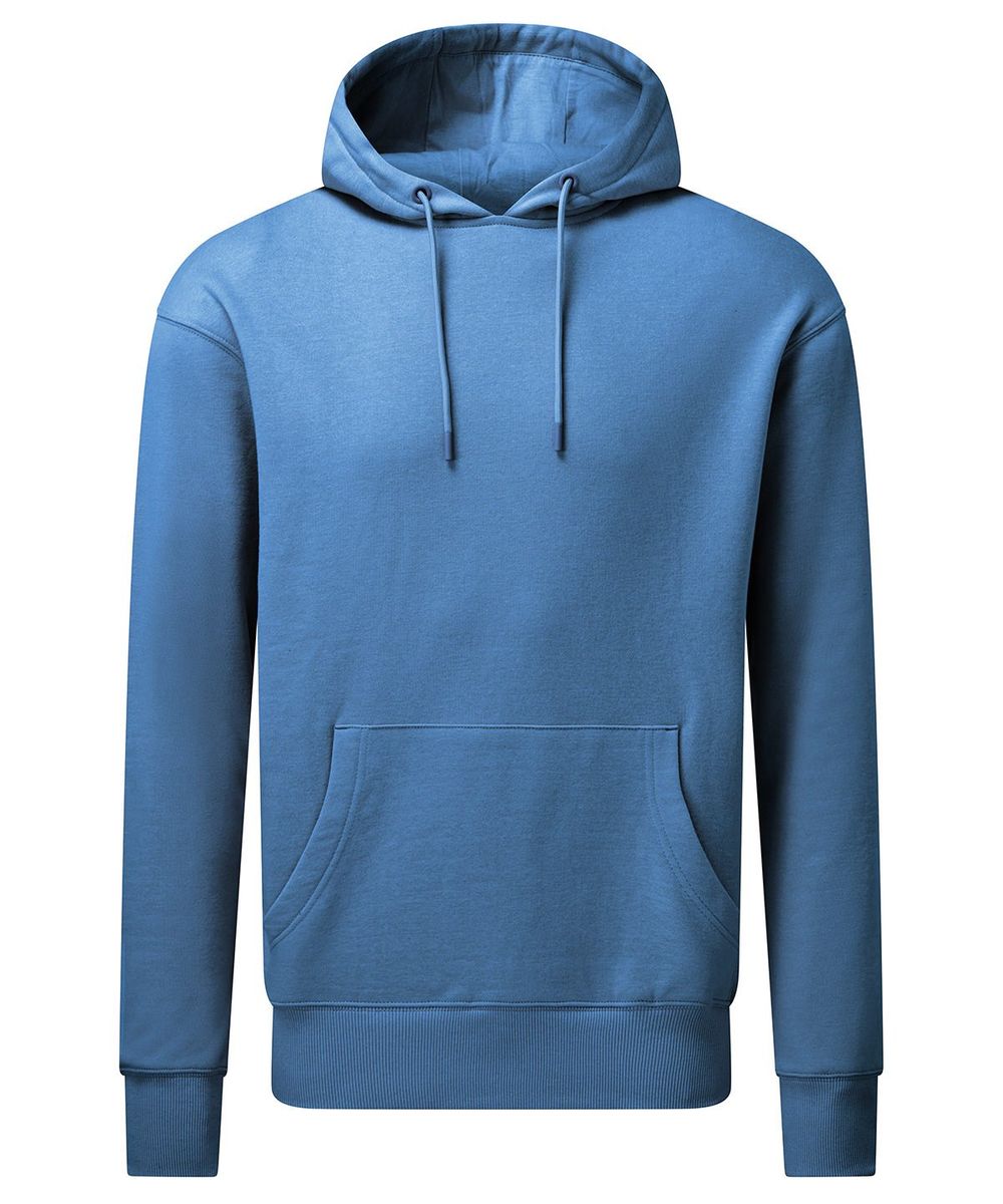 Anthem unisex hoodie - Anthem