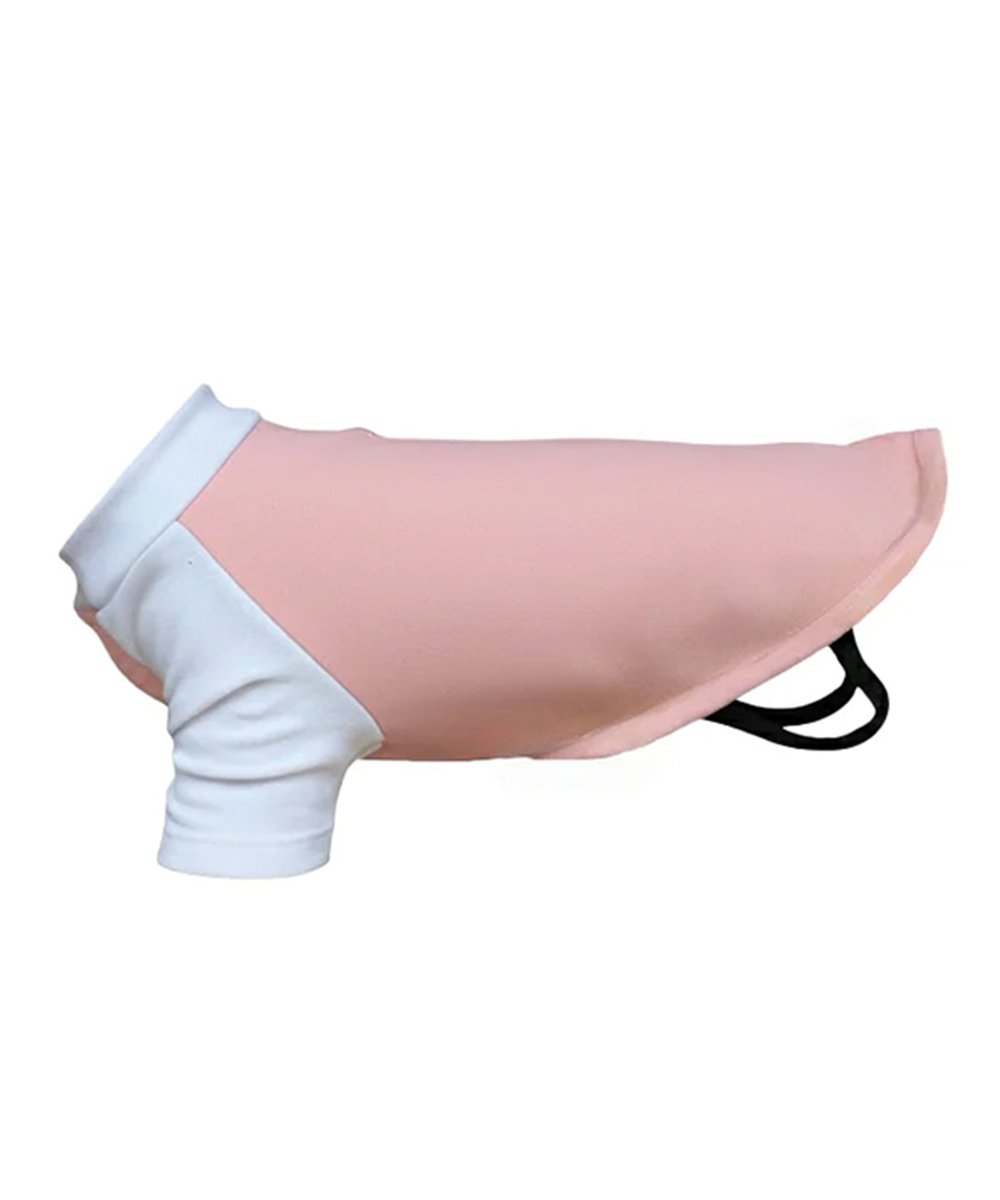 Portman & Pooch Dog’s raglan t-shirt