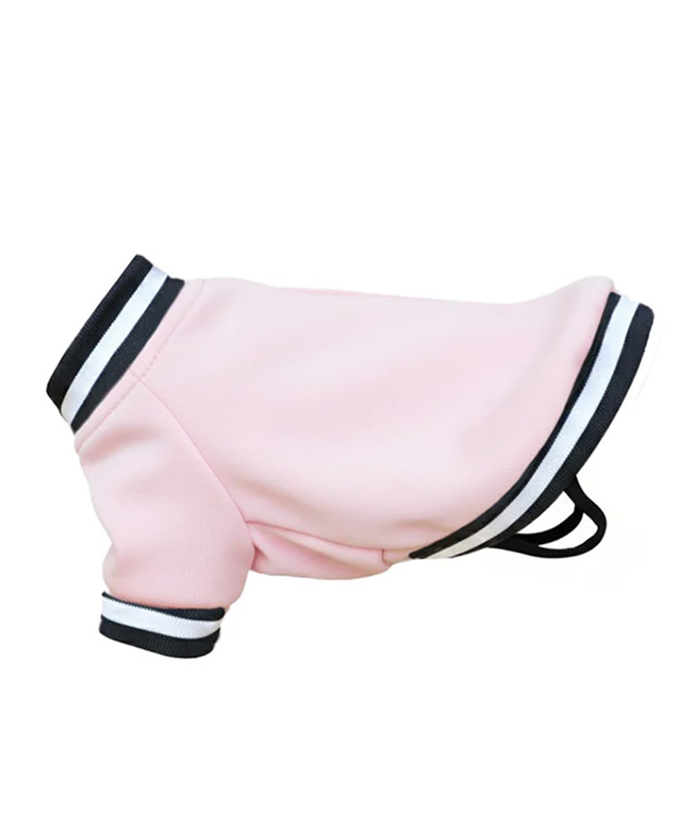 Portman & Pooch Dog’s varsity jacket