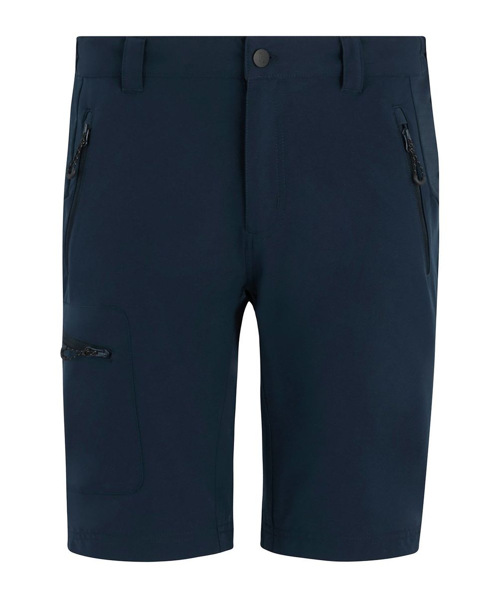 Prolite stretch shorts - Regatta